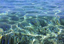 Bandiere blu 2025 -in Calabria ben 23: tre nuove entrate