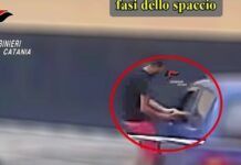 Traffico di droga – blitz nelle province di Catania e Reggio Calabria: 12 arresti