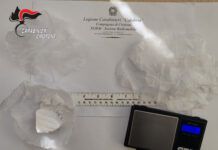 Spacciava cocaina dalla propria abitazione – arrestato