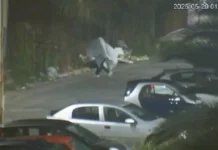 Si traveste da fantasma per gettare spazzatura – identificato e multato