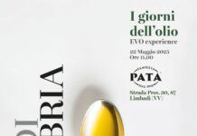 Consorzio Olio di Calabria IGP: Continuano gli appuntamenti con “I Giorni dell’Olio”, tappa a Limbadi Consorzio Olio IGP