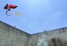 Appicca incendio a sterpaglie che si propaga causando danni: denunciato