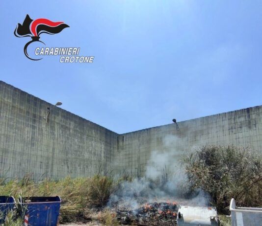 Appicca incendio a sterpaglie che si propaga causando danni: denunciato