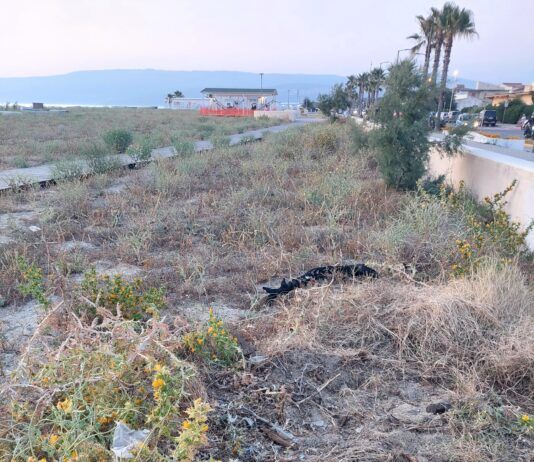 San Ferdinando – Digiacco: “Mancata pulizia della spiaggia nel periodo estivo”