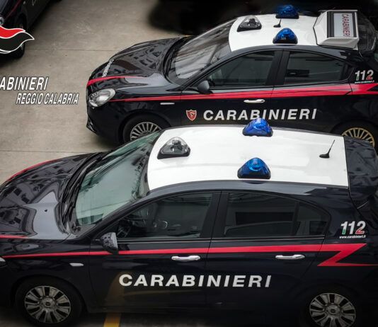 Ruba energia elettrica per alimentare l’intera casa – arrestata
