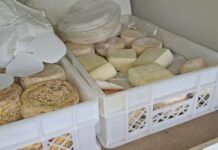 Sequestrati dalla Polizia Stradale 55 kg di prodotti lattiero caseari privi di tracciabilità