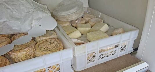 Sequestrati dalla Polizia Stradale 55 kg di prodotti lattiero caseari privi di tracciabilità