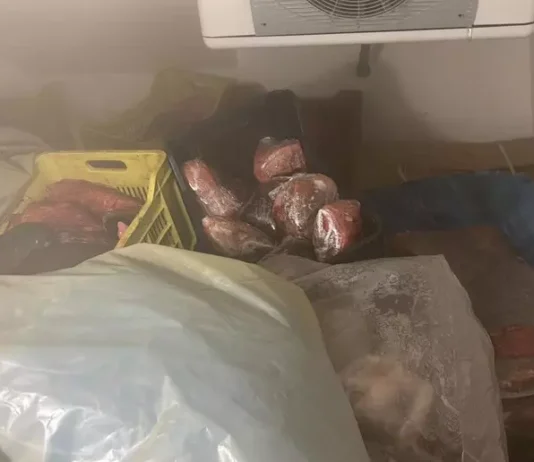 Gioia Tauro – sequestrati oltre 500 kg di filetto di tonno rosso