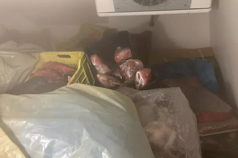 Gioia Tauro – sequestrati oltre 500 kg di filetto di tonno rosso