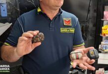 Reggio Calabria -Scoperta fabbrica prodotti contraffatti con annesso show room: denunciata una persona