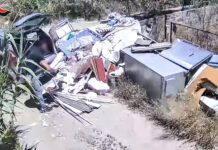 Sorpreso ad abbandonare rifiuti in un’area demaniale – denunciato