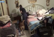 Estorsione, detenzione e spaccio di stupefacenti: 6 arresti