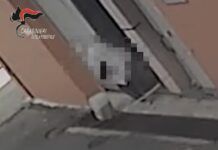 Sorpresa a sversare rifiuti sanitari infettivi – denunciata infermiera