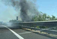 Tenta di appiccare un incendio vicino alla Statale 106: fermato dalla Polizia