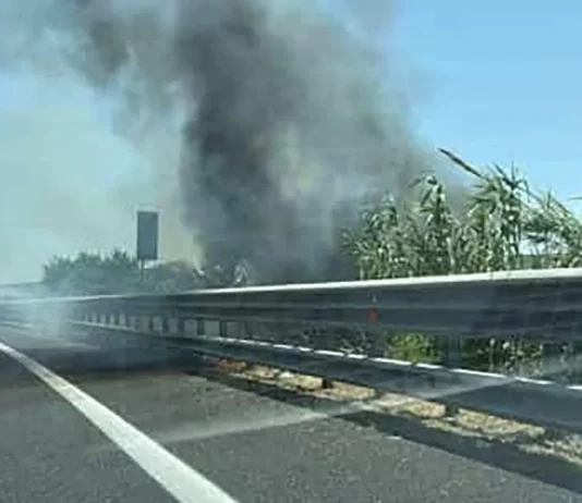 Tenta di appiccare un incendio vicino alla Statale 106: fermato dalla Polizia