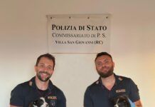Traffico illecito di animali – denunciate due persone