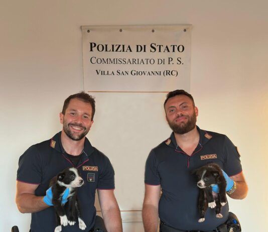 Traffico illecito di animali – denunciate due persone
