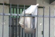 Rossano sotto shock: cane fatto a pezzi e appeso a una ringhiera. La denuncia degli animalisti