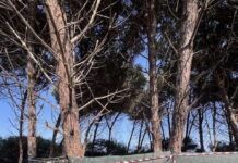 Campeggio abusivo in area sottoposta a vincolo paesaggistico e ambientale: due persone deferite