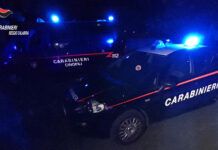 Armi rinvenute in un casolare – un arresto
