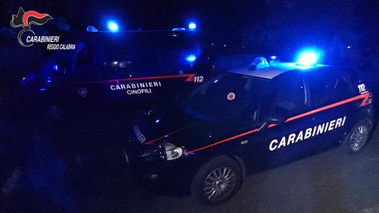 Armi rinvenute in un casolare – un arresto