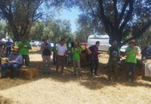 Grande successo per la V edizione della Festa della mietitura a Pellegrina