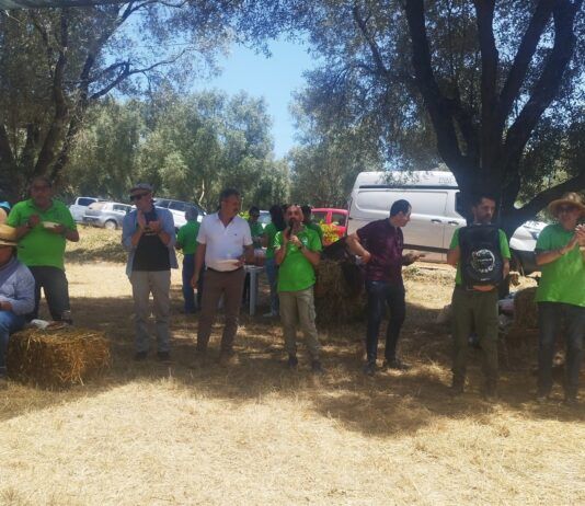 Grande successo per la V edizione della Festa della mietitura a Pellegrina