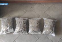 Fermato in autostrada presso l’area di servizio Rosarno Ovest con 2kg di marijuana – arrestato 24enne