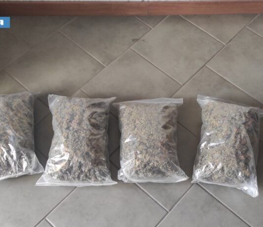 Fermato in autostrada presso l’area di servizio Rosarno Ovest con 2kg di marijuana – arrestato 24enne