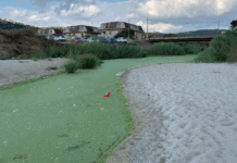 La Regione Calabria autorizza la bonifica del fosso San Giovanni di Nicotera Marina tramite l’uso di bioattivatori Fosso San Giovanni Nicotera