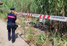 Servizio anti roghi nella Piana di Gioia Tauro e smaltimento illecito di rifiuti – Carabinieri denunciano 14 persone