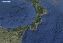 Cocaina dal Sudamerica alla Locride – I dettagli dell’operazione