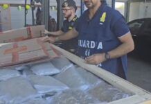 Porto di Gioia Tauro – sequestrati 1220 kg di marijuana