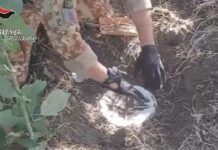Maxi sequestro di droga – stupefacenti nascosti sotto terra: si ipotizzano oltre 45mila dosi pronte per lo spaccio