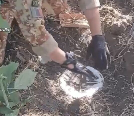 Maxi sequestro di droga – stupefacenti nascosti sotto terra: si ipotizzano oltre 45mila dosi pronte per lo spaccio