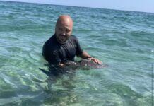 Tartaruga marina salvata da un’Agente della Polizia di Stato