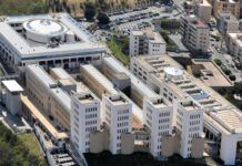 Università Mediterranea sempre di più un punto di rifermento per la formazione universitaria nel Sud Italia