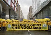 Coldiretti Calabria: oltre 65mila aziende agricole calabresi colpite dal taglio della PAC 2028-2034