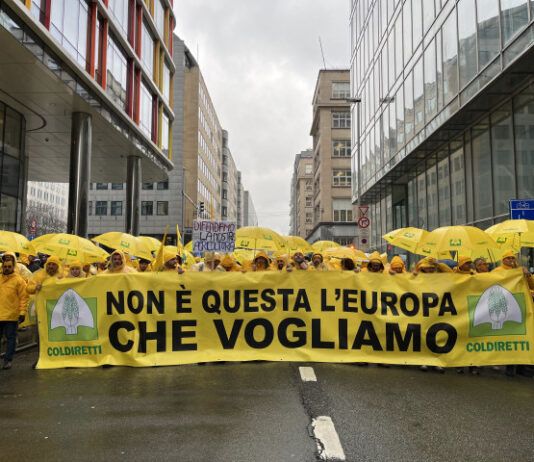 Coldiretti Calabria: oltre 65mila aziende agricole calabresi colpite dal taglio della PAC 2028-2034