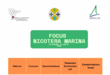 Nicotera Marina: mare balneabile, ma preoccupano gli indicatori chimici e la fioritura algale Risultati ARPACAL Nicotera