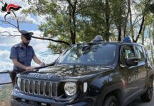 Controlli Carabinieri nella Piana di Gioia Tauro – 11 persone denunciate