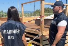 Controlli Carabinieri NAS – sequestrata area attrezzata con piscina realizzata senza autorizzazioni