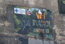 A Gallina non cessa la mattanza dei felini: strage di gatti