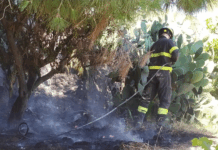 Paura a Nicotera: incendio devasta una scarpata nei pressi della stazione ferroviaria, fiamme lambiscono le abitazioni Vigili del Fuoco