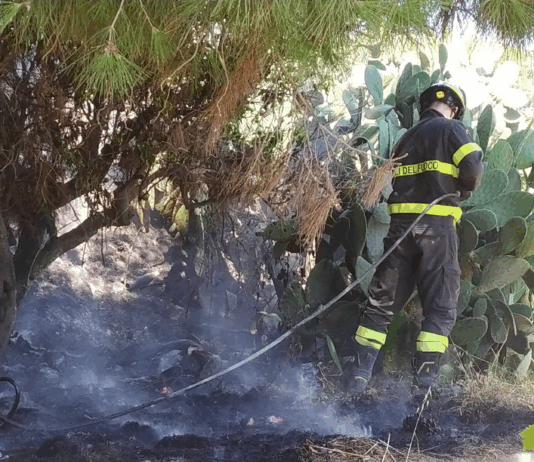 Paura a Nicotera: incendio devasta una scarpata nei pressi della stazione ferroviaria, fiamme lambiscono le abitazioni Vigili del Fuoco
