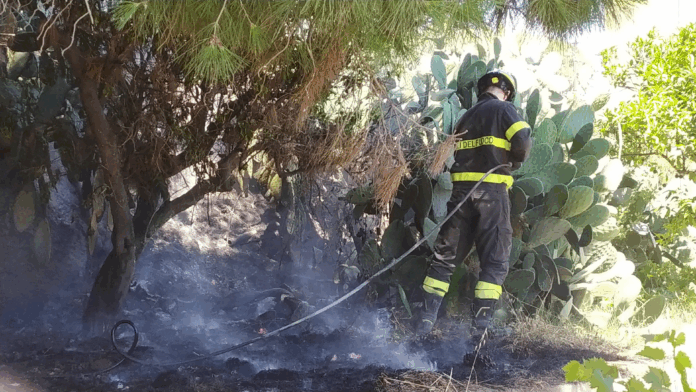 Vigili del Fuoco