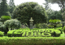 CITTANOVA – L’Amministrazione comunale avvia la stabilizzazione di 8 tirocinanti TIS Cittanova Villa Carlo Ruggiero