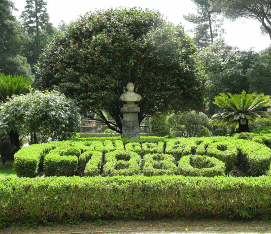 CITTANOVA – L’Amministrazione comunale avvia la stabilizzazione di 8 tirocinanti TIS Cittanova Villa Carlo Ruggiero