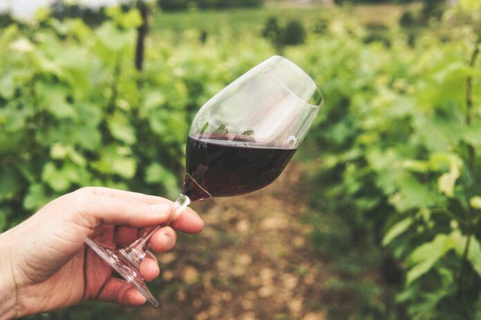 Vino Rosso Vigna