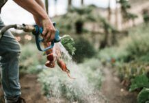 Emergenza siccità, Consorzio di Bonifica: vietato l’uso improprio dell’acqua per irrigazione Agricoltura